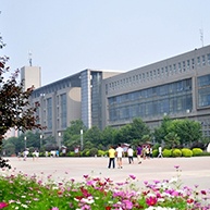 公司介绍
